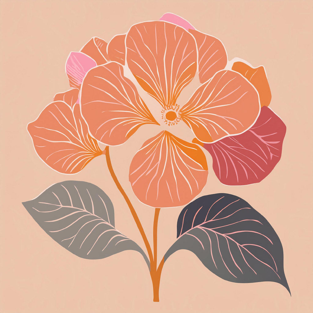 Hortensia
