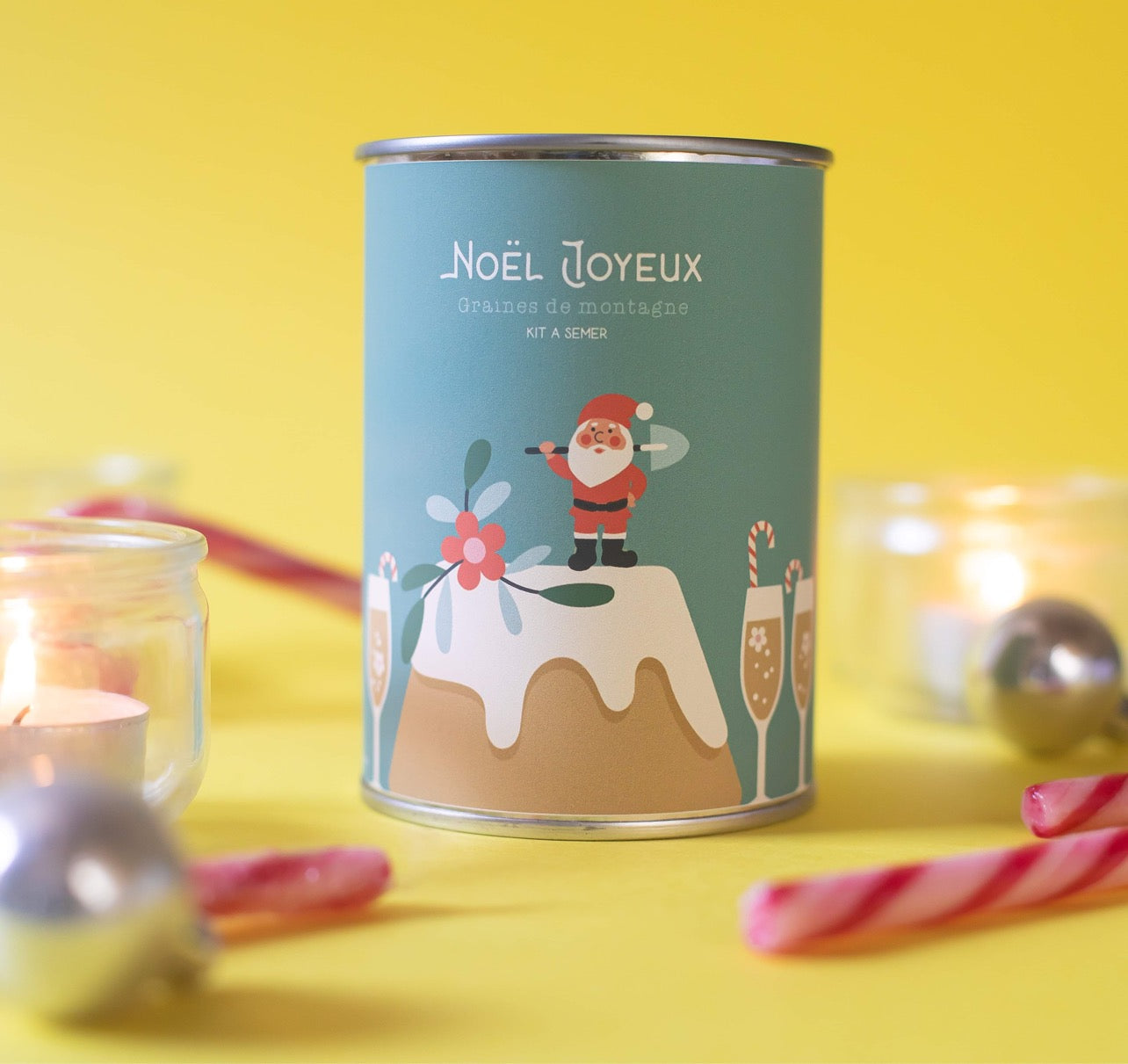 Copie de Kit à semer "Noël Joyeux" MauvaisesGraines