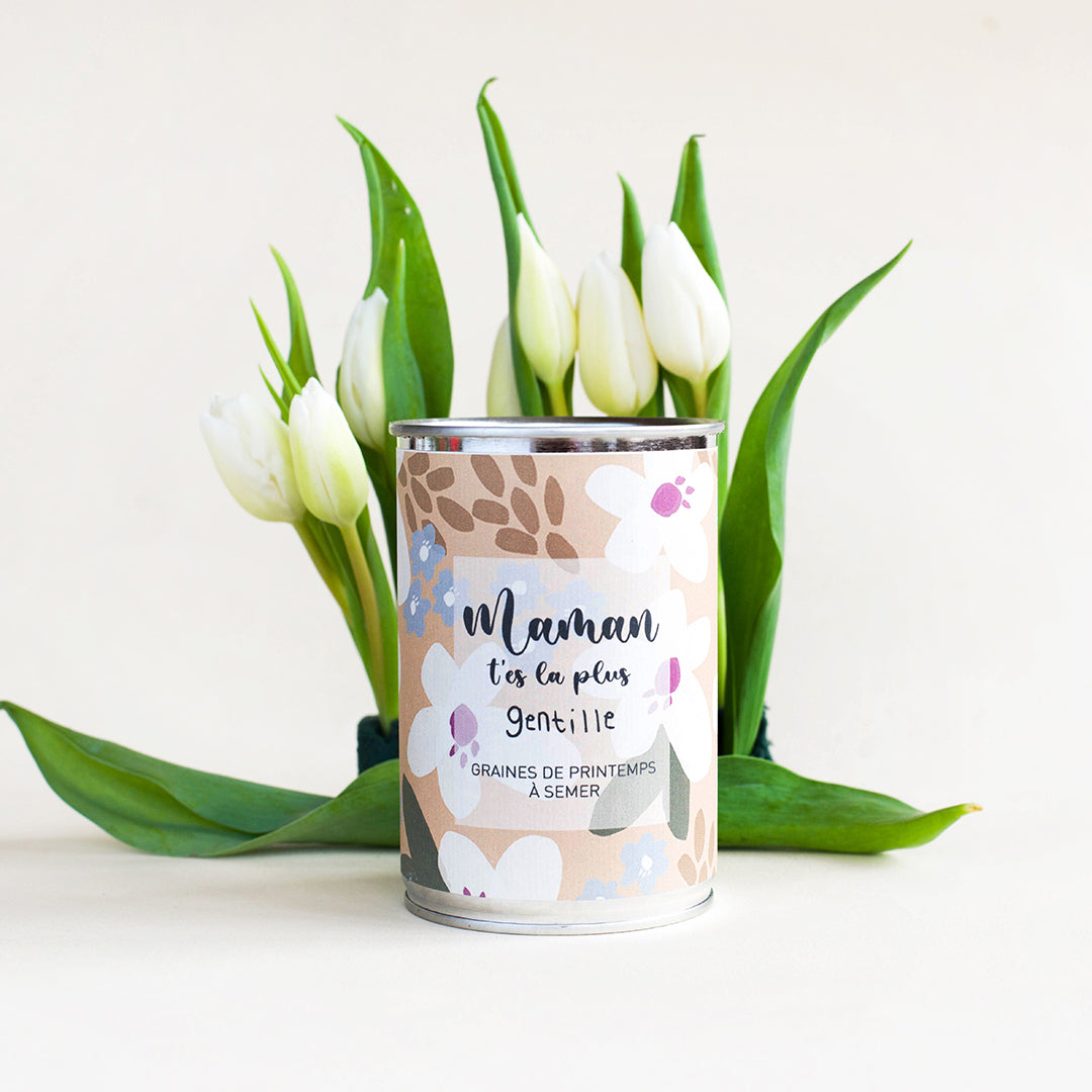 Kit à semer "Maman t'es la plus gentille"