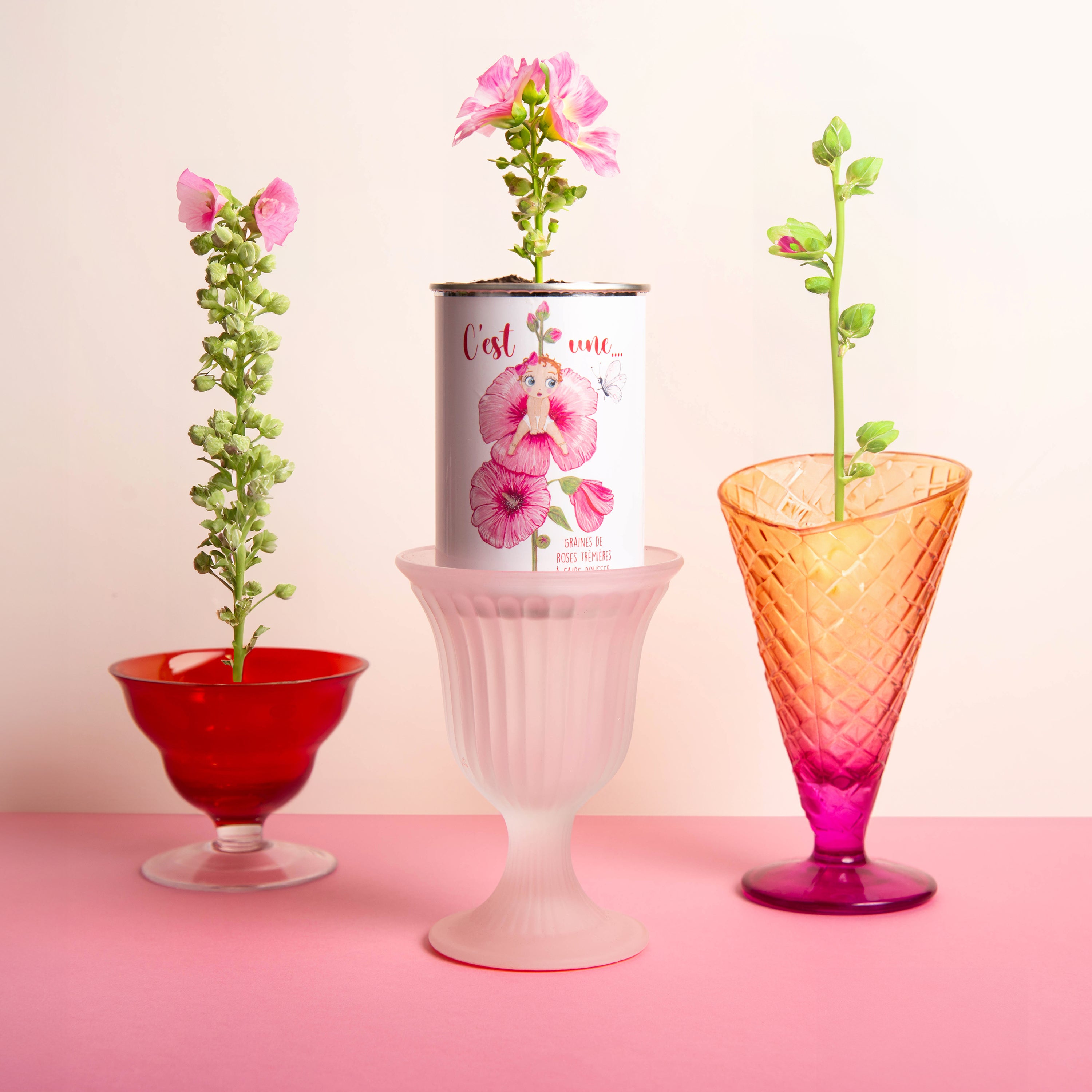 Kit à semer "C'est Une..."