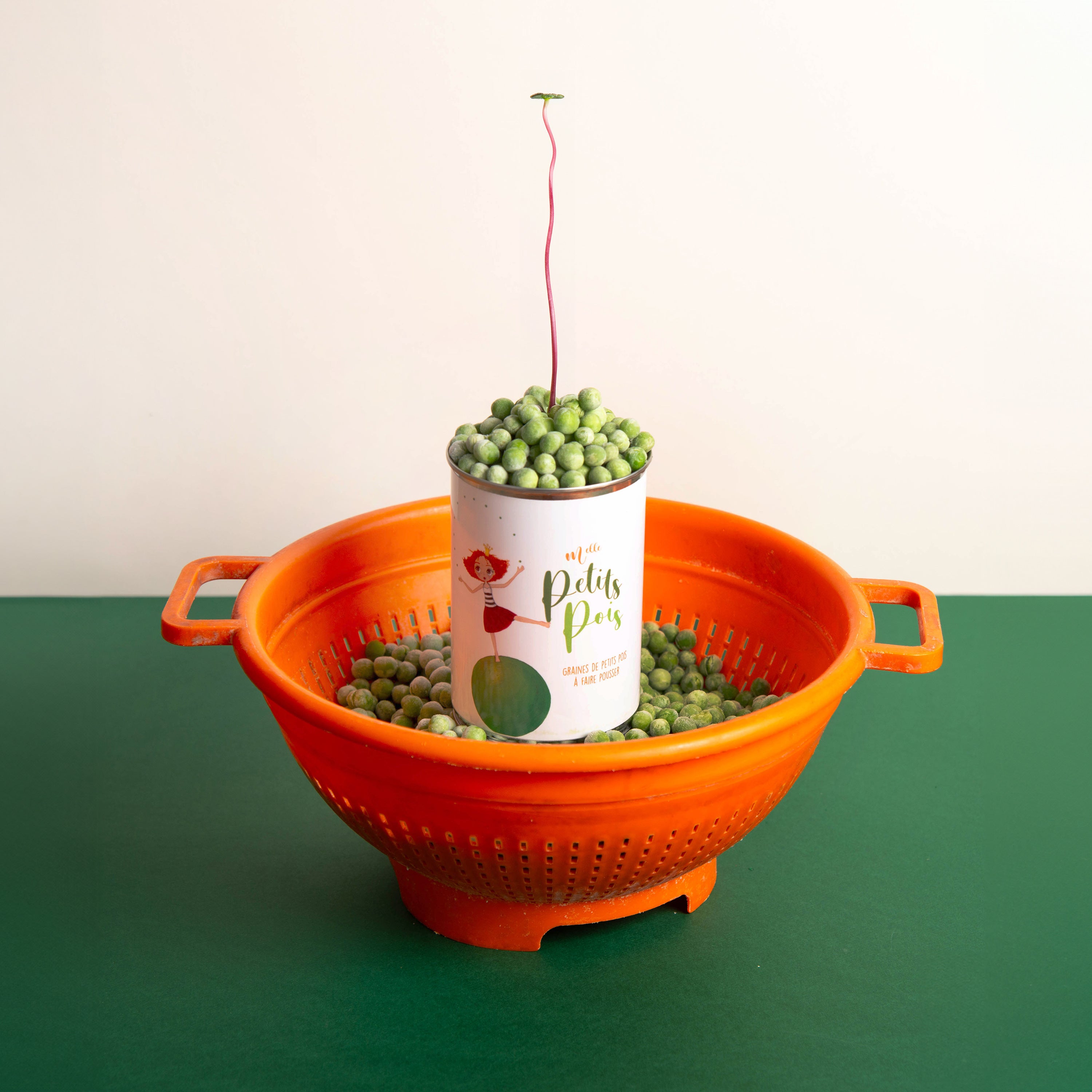 Kit à semer "Mademoiselle Petits Pois"