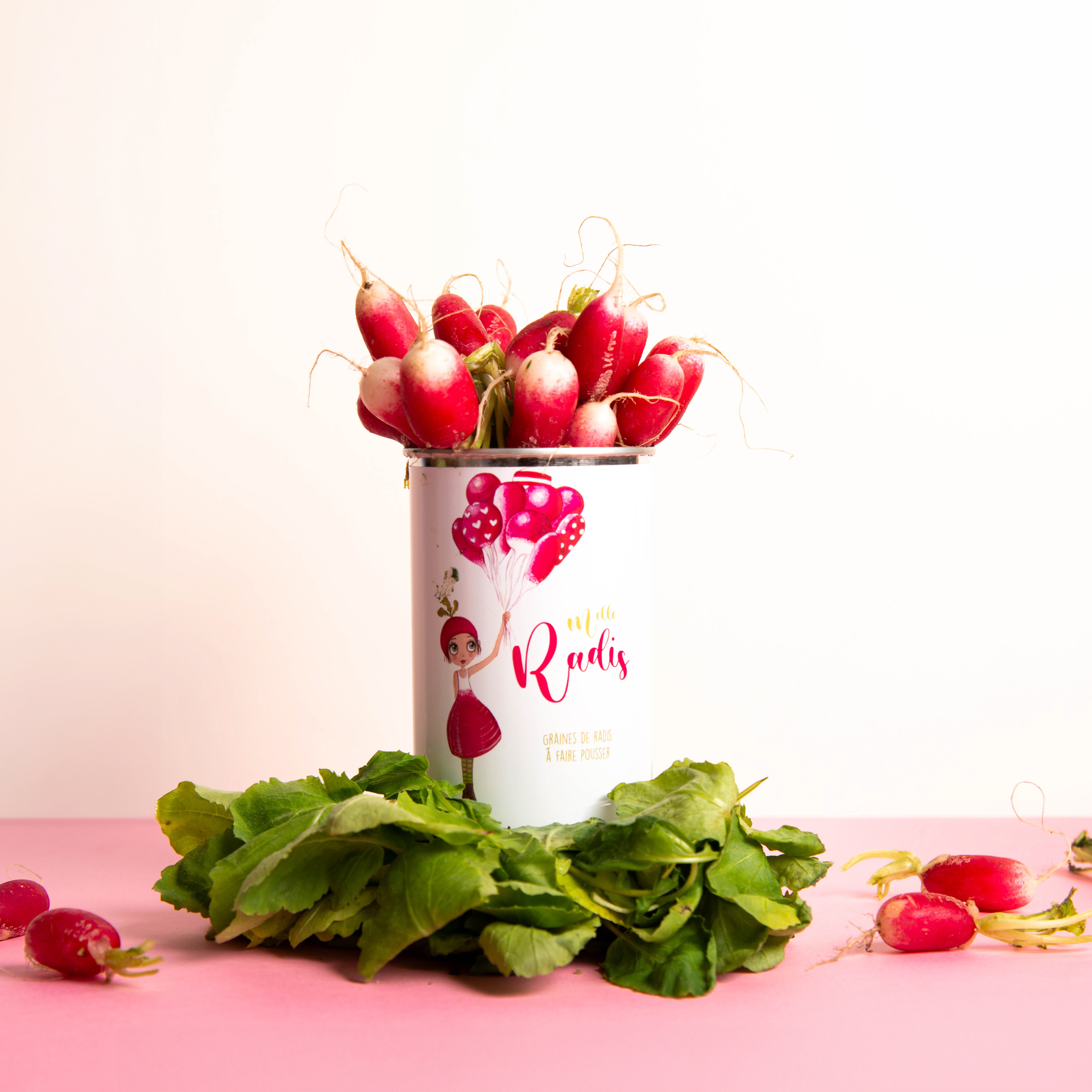 Kit à semer "Mademoiselle Radis"