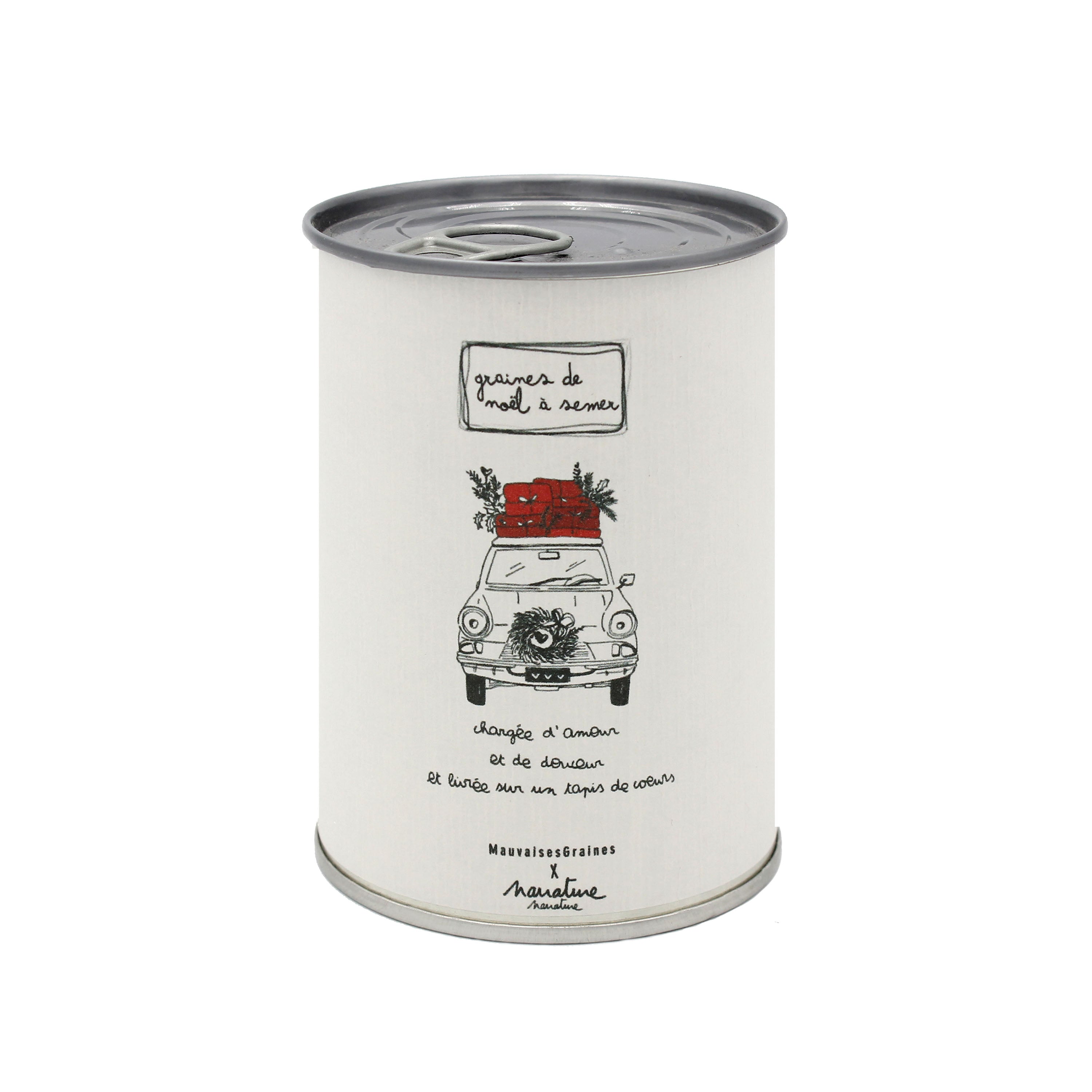 Copie de Kit à semer "Noël Joyeux" MauvaisesGraines