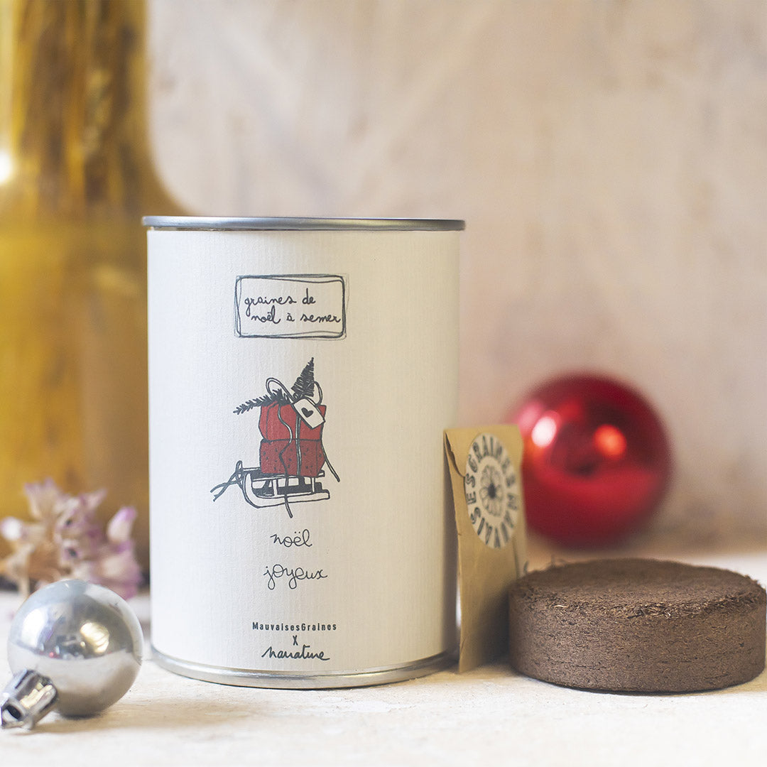 Kit à semer "Noël Joyeux" MauvaisesGraines