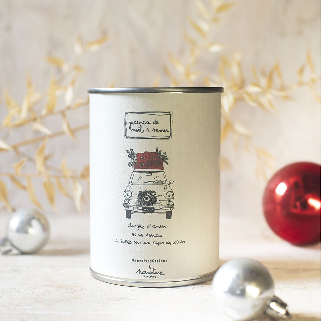 Copie de Kit à semer "Noël Joyeux" MauvaisesGraines