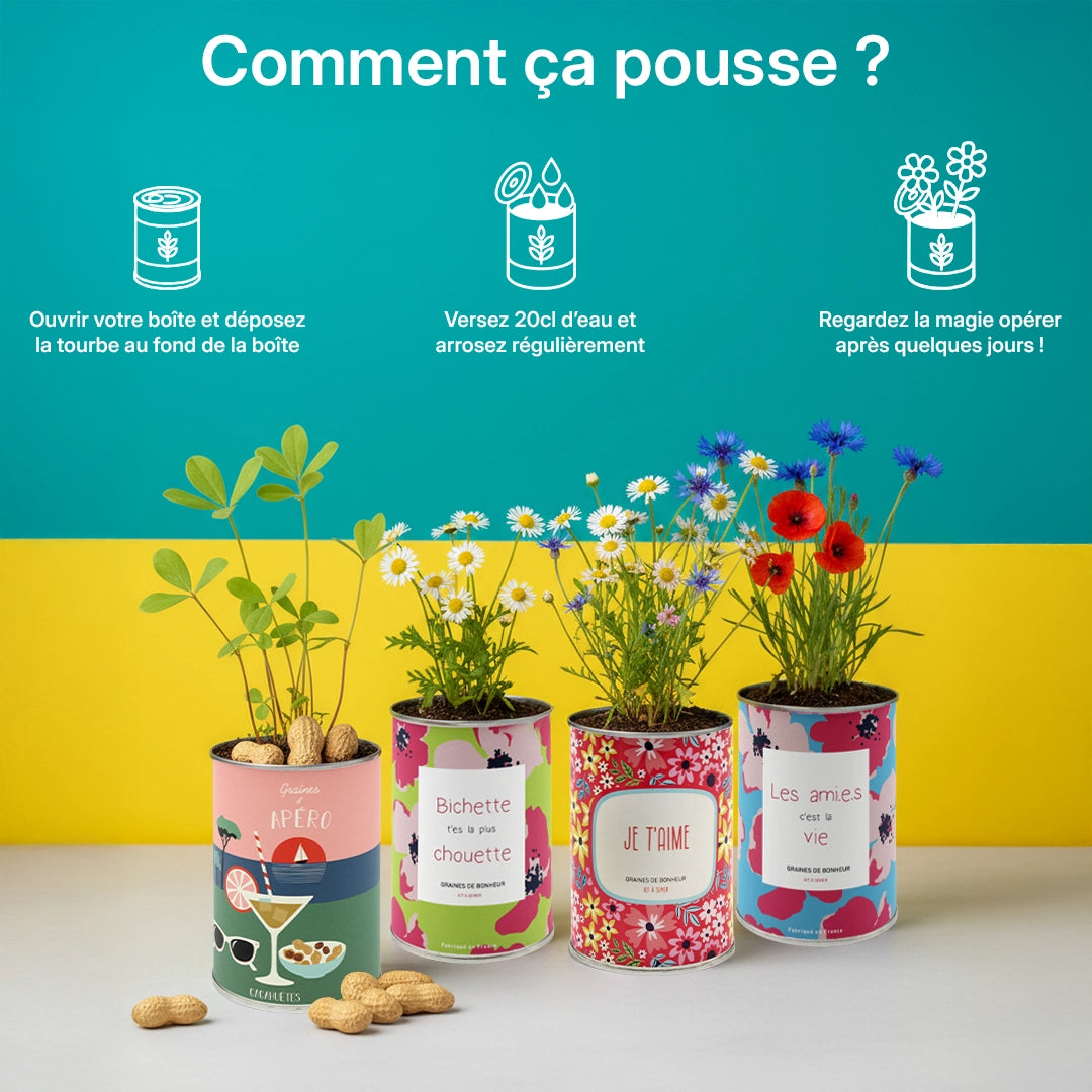 Pack de 4 kits à semer "Ami"