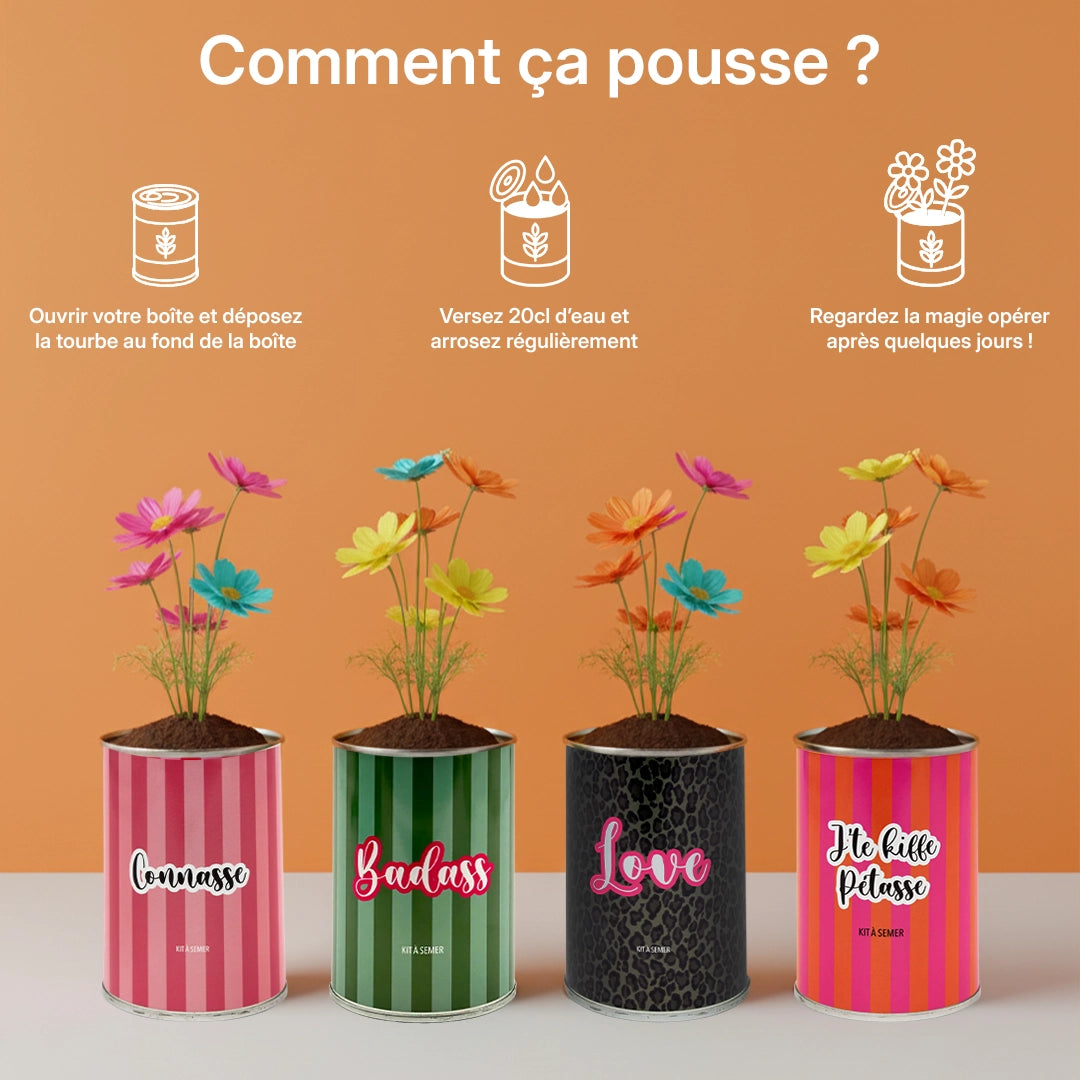 Pack de 4 kits à semer "Énervé"