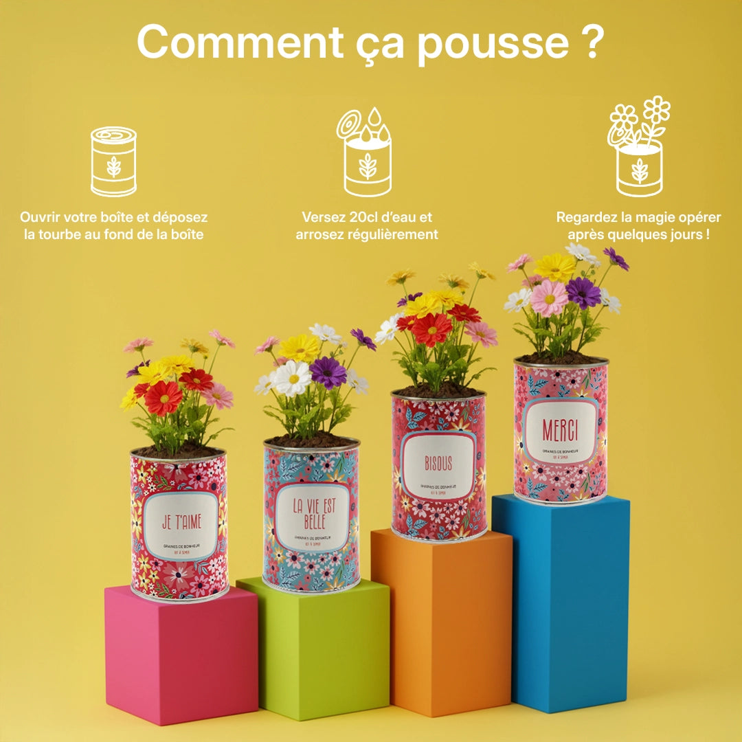 Pack de 4 kits à semer "La vie est belle"