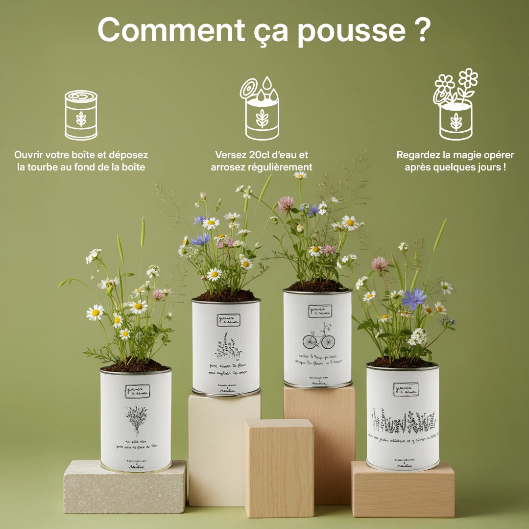 Pack de 4 Kits à semer en collab avec Narrature