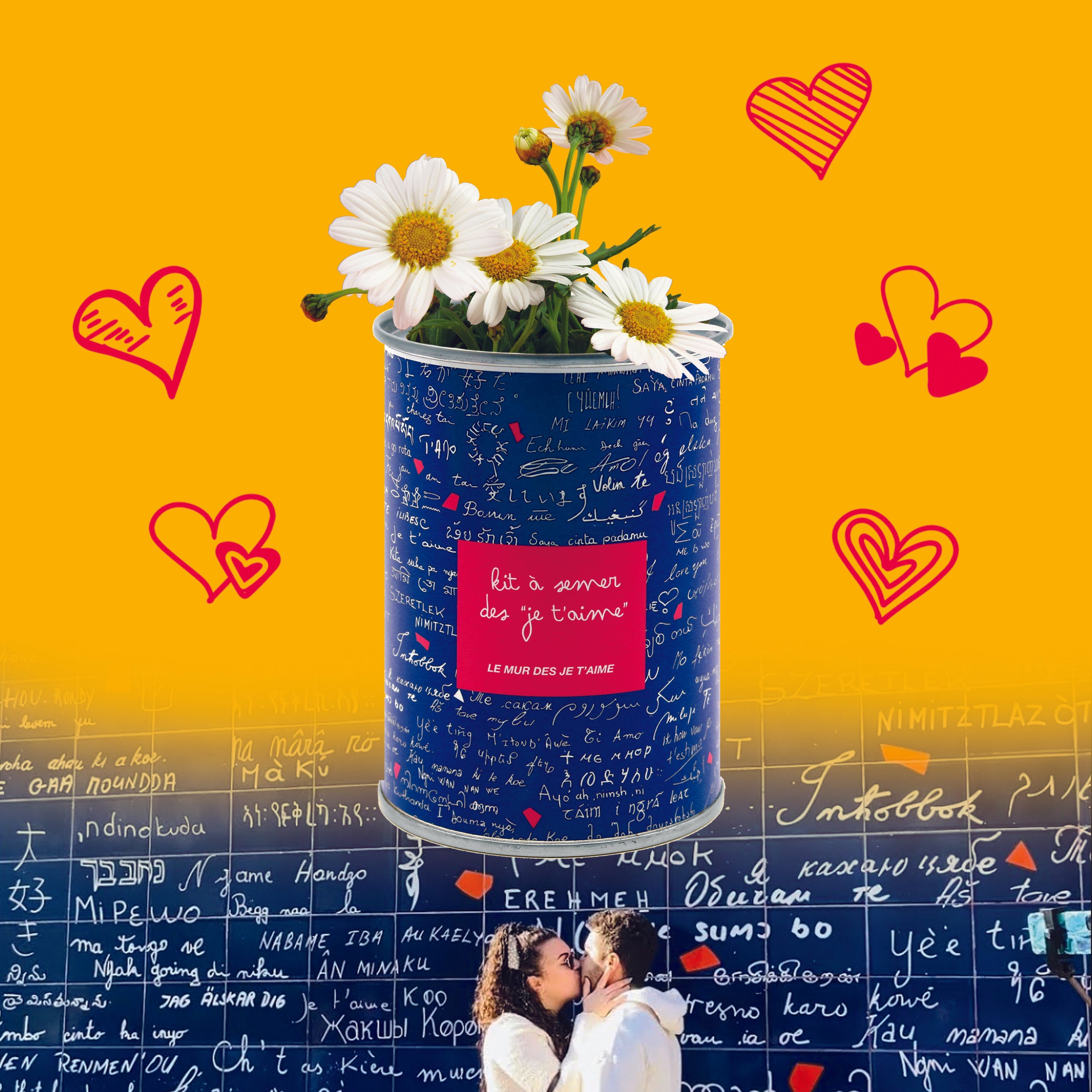 Kit à semer "Le mur des Je t'aime" fabriqué en France