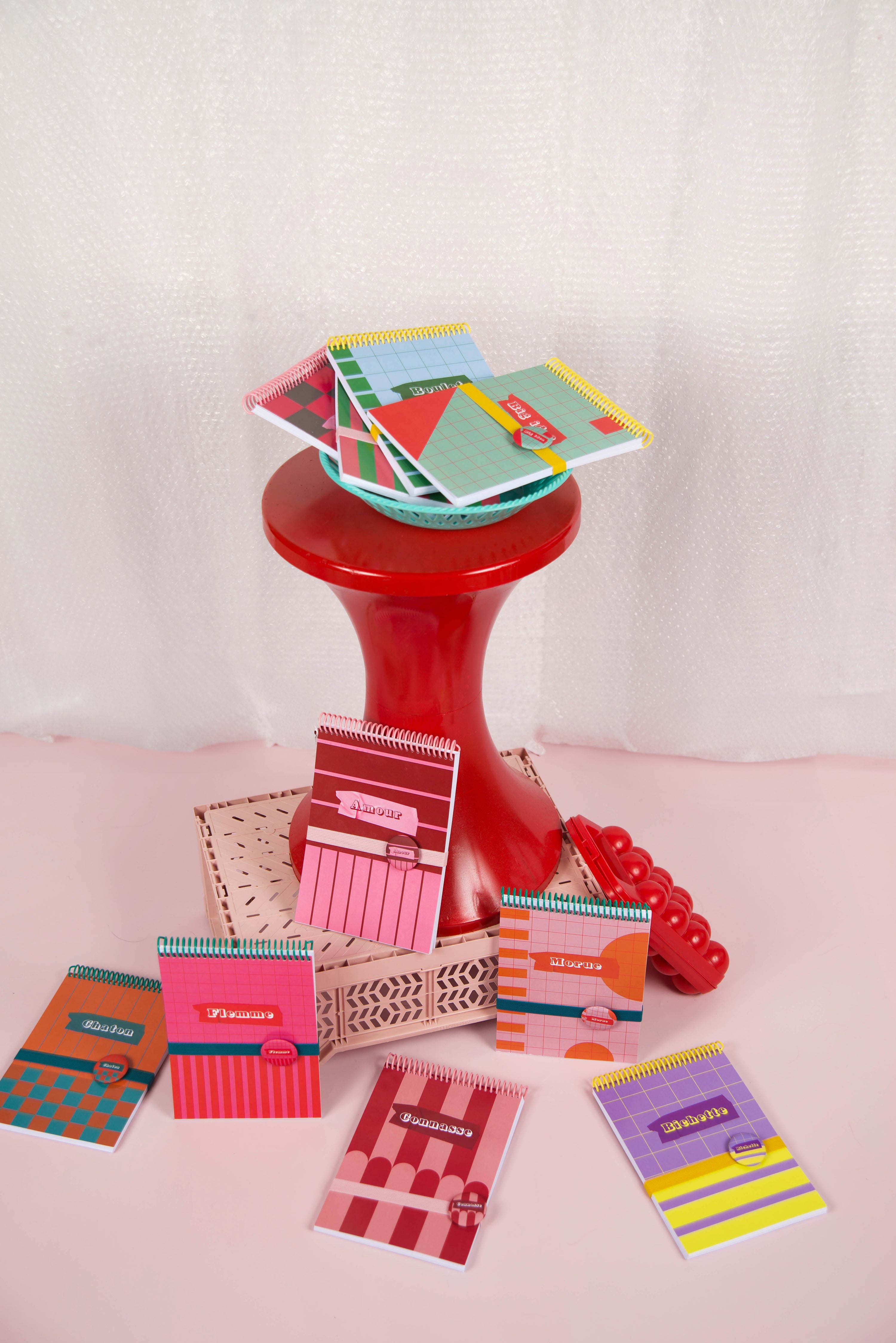 Pack Carnet + Kit à semer "Big Idea"