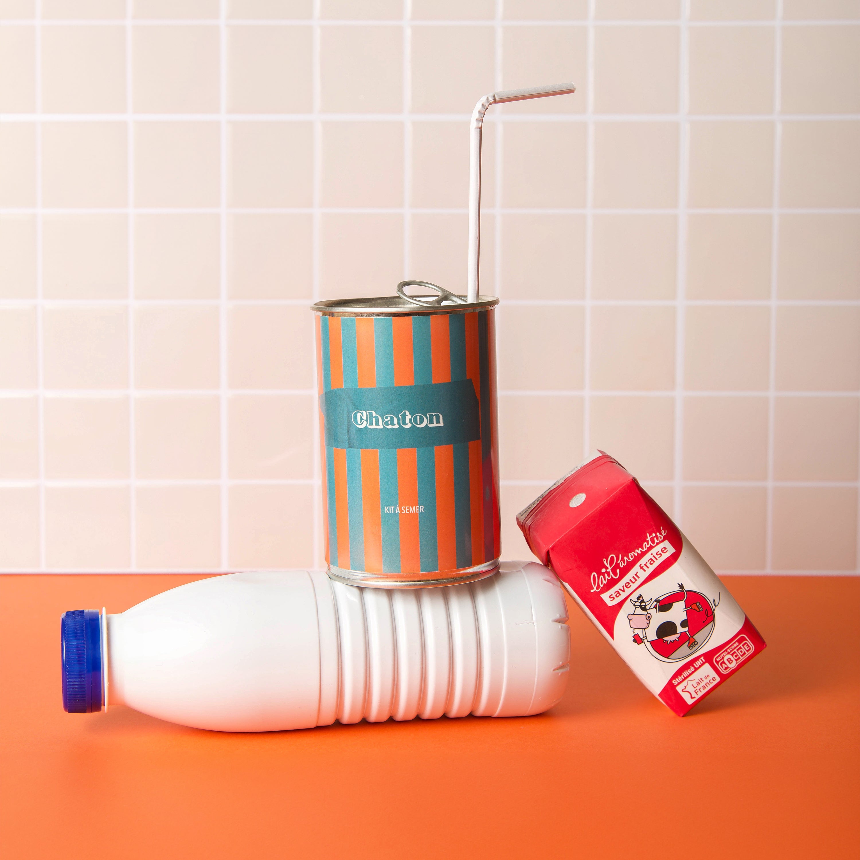 Kit à semer "Chaton" fabriqué en France