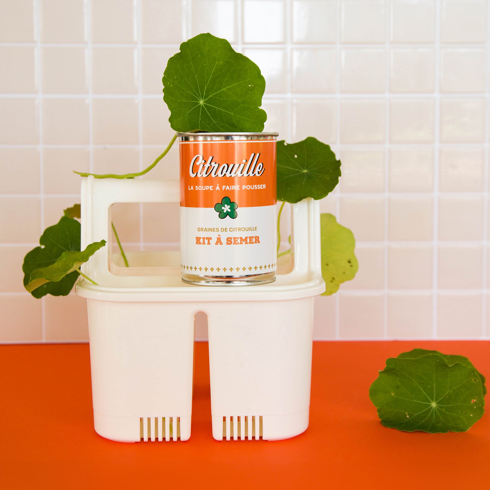 kit à semer "soupe de Citrouilles " Fabriqué en France