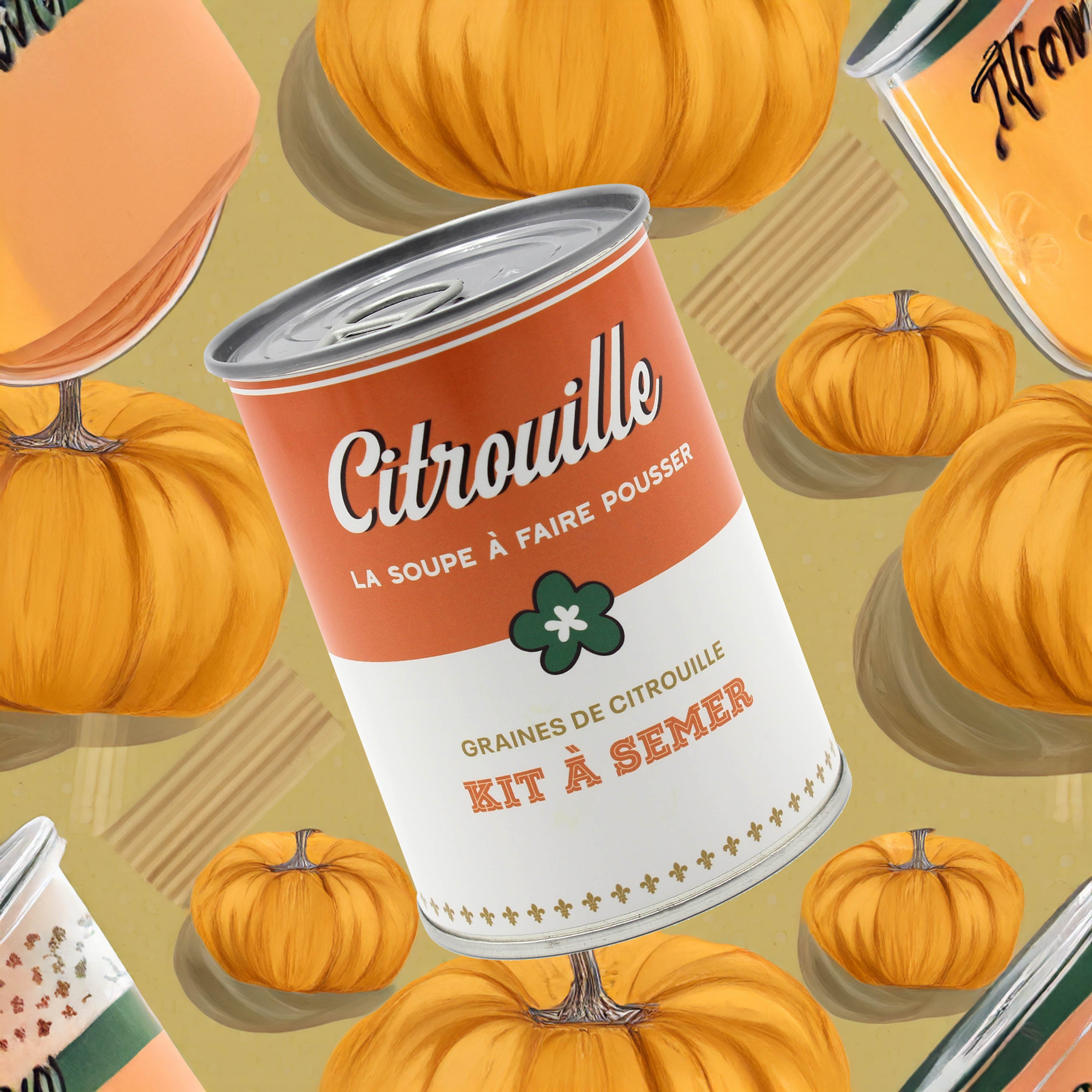 kit à semer "soupe de Citrouilles " Fabriqué en France