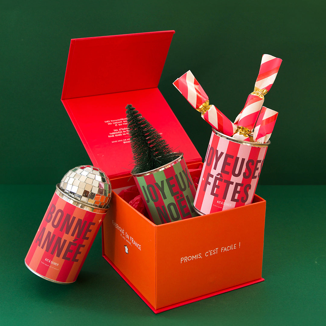 Coffret Lulu Fêtes avec trois kits à semer rayés, Bonne année, Joyeux Noël et Joyeuses fêtes.