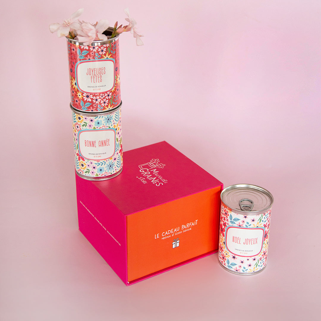 đ Pack NoĂ«l â 3 kits Ă semer pour des fĂȘtes qui durent plus longtemps que le sapin