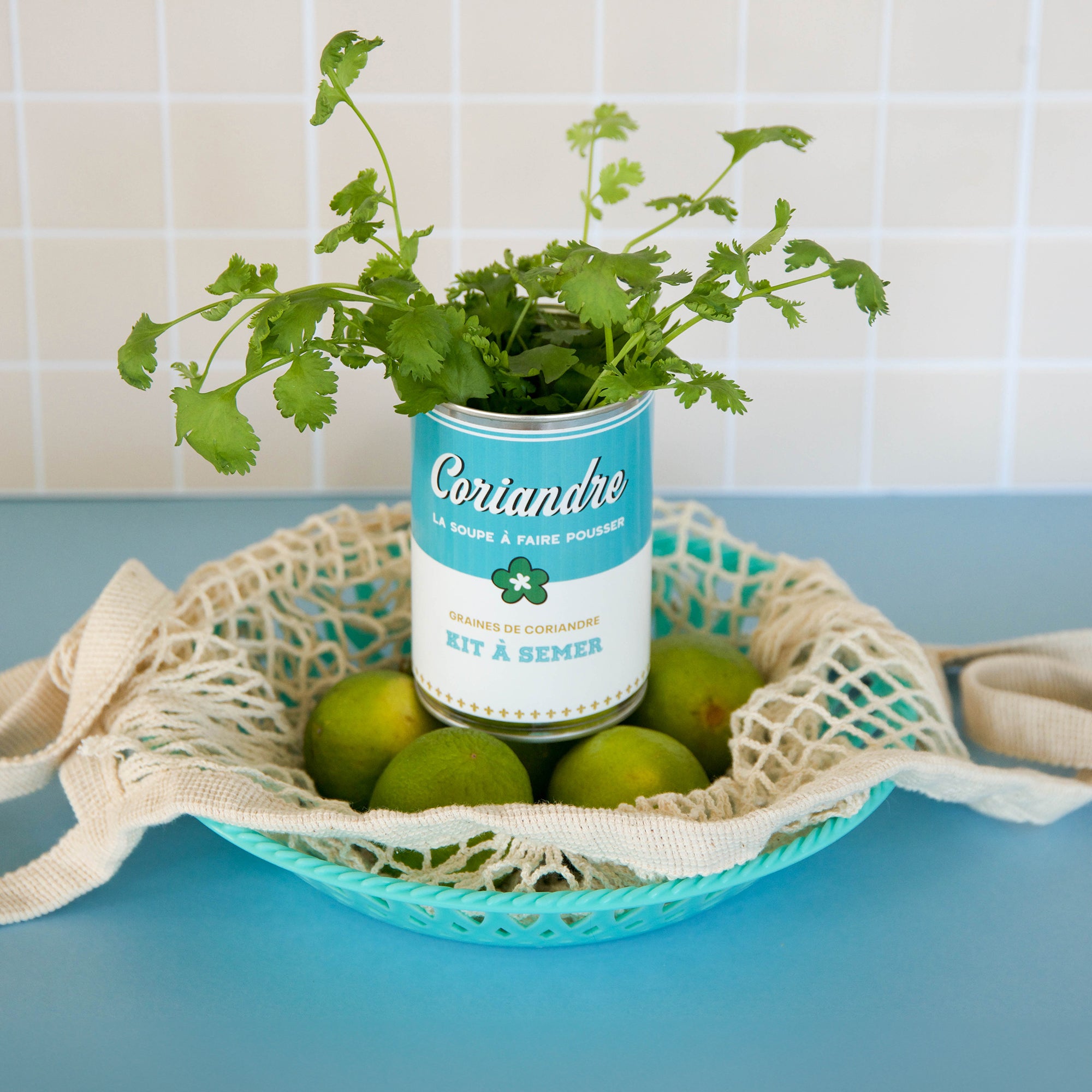 kit à semer "soupe de Coriandre " Fabriqué en France