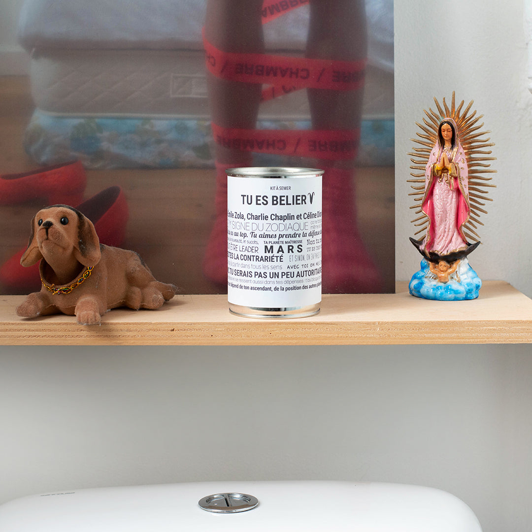 Kit à semer Bélier Mauvaises Graines, idée cadeau astrologique en collaboration avec Tout est Dit