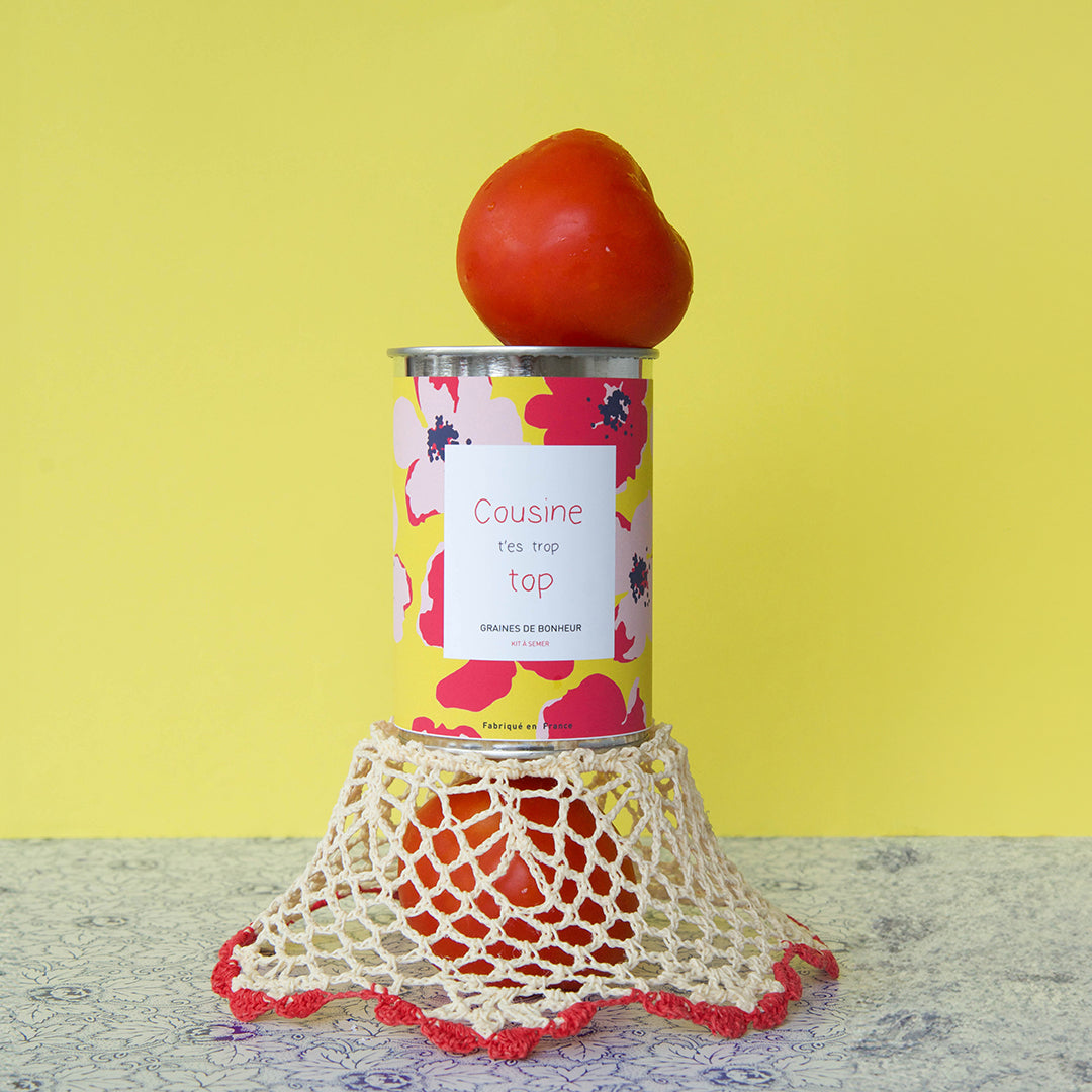 Kit à semer famille Mauvaises Graines, cadeau original et fabriqué en France pour maman, papa, frangin, frangine, cousine ou cousin