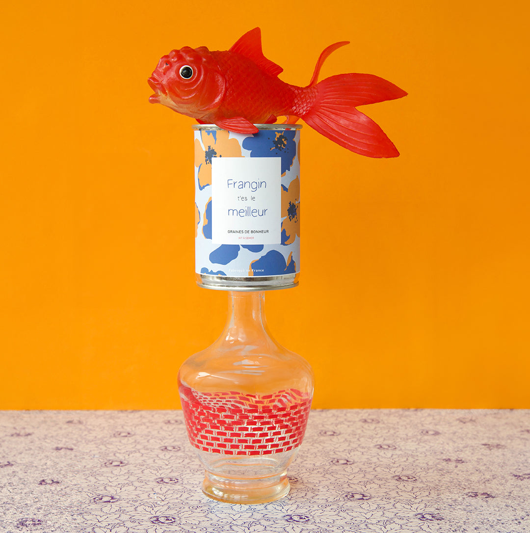 Kit à semer famille Mauvaises Graines, cadeau original et fabriqué en France pour maman, papa, frangin ou frangine.