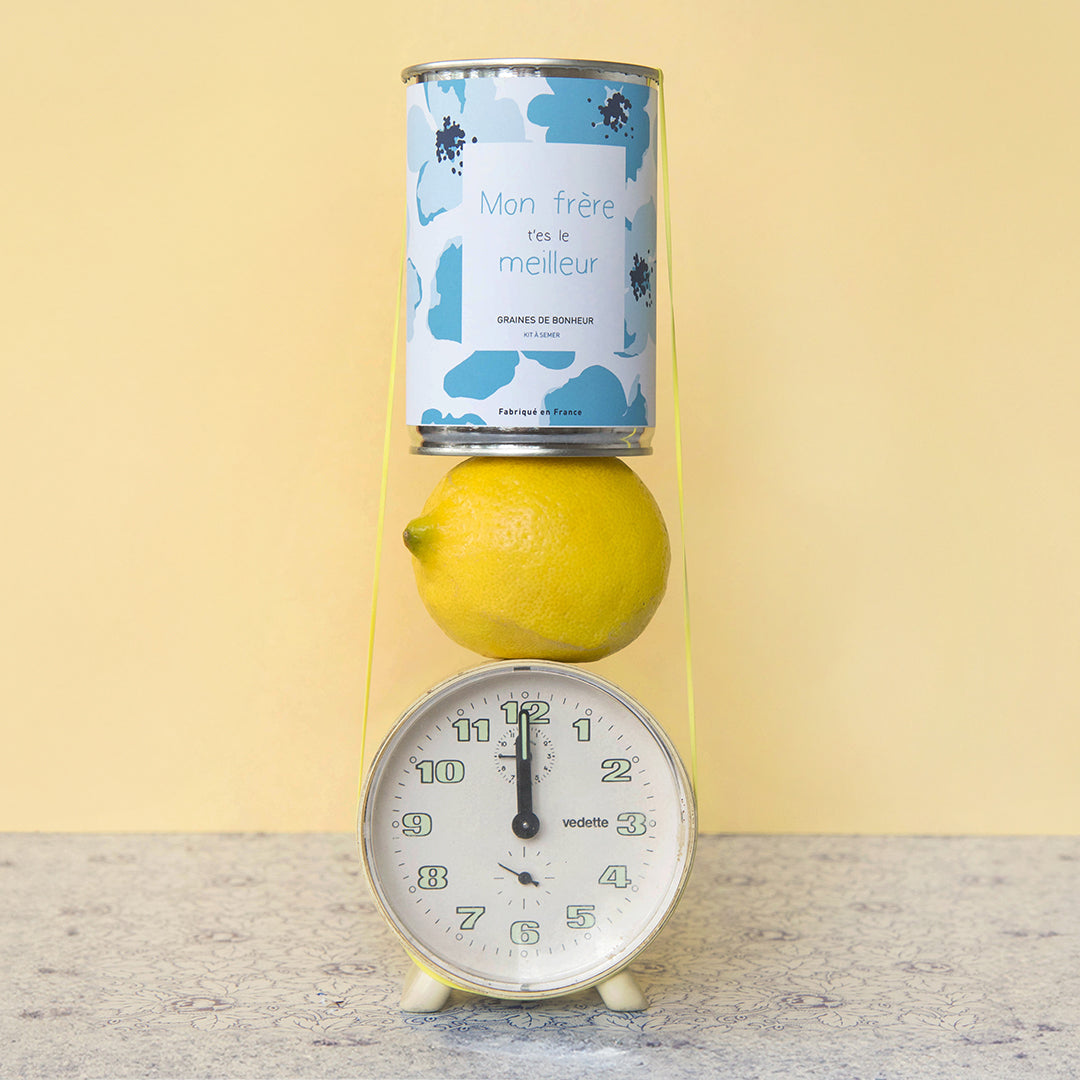 Kit à semer famille Mauvaises Graines, cadeau original et fabriqué en France pour maman, papa, frangin ou frangine.