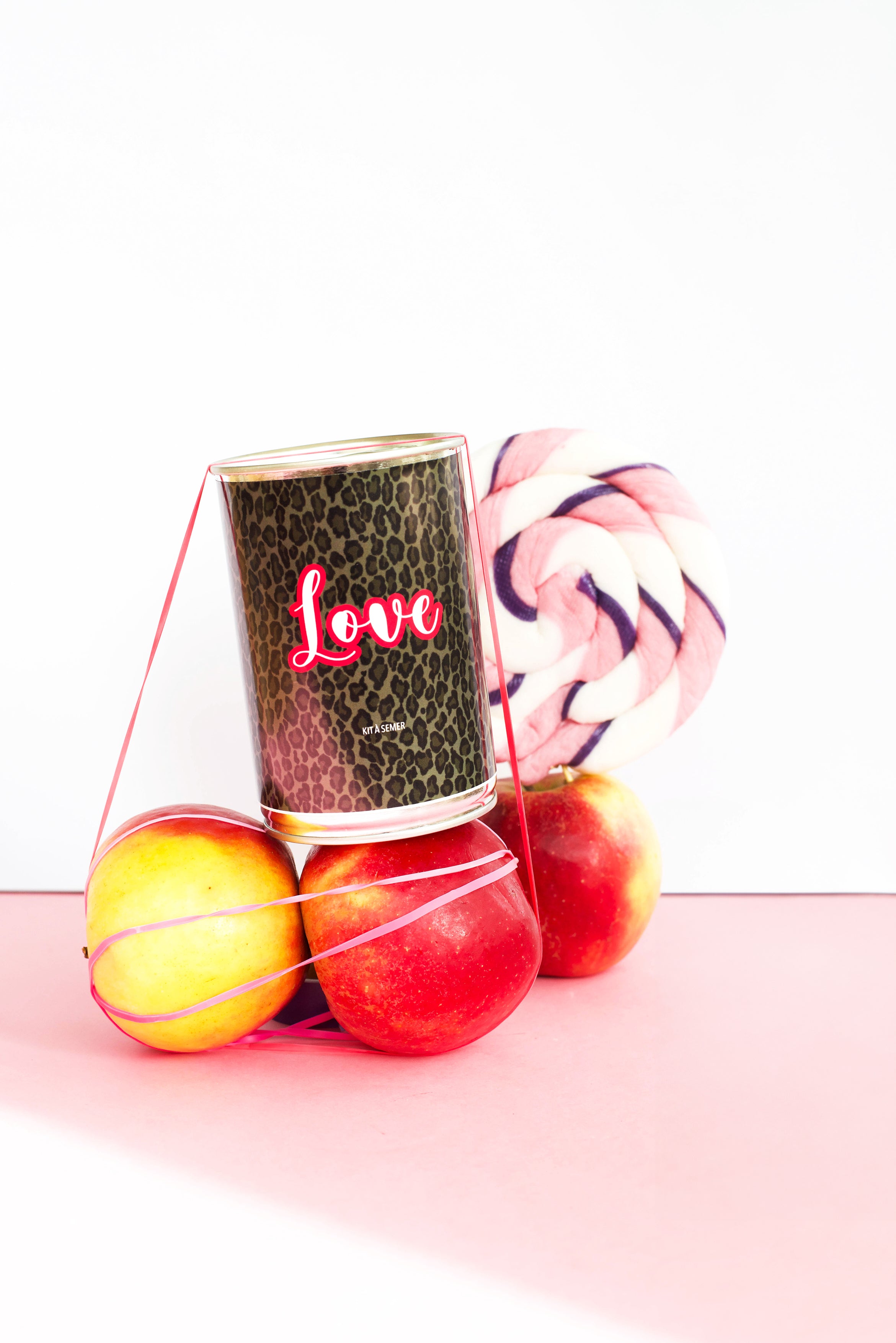 Kit à semer Mauvaises Graines message Love en boîte de conserve, idée cadeau décalée