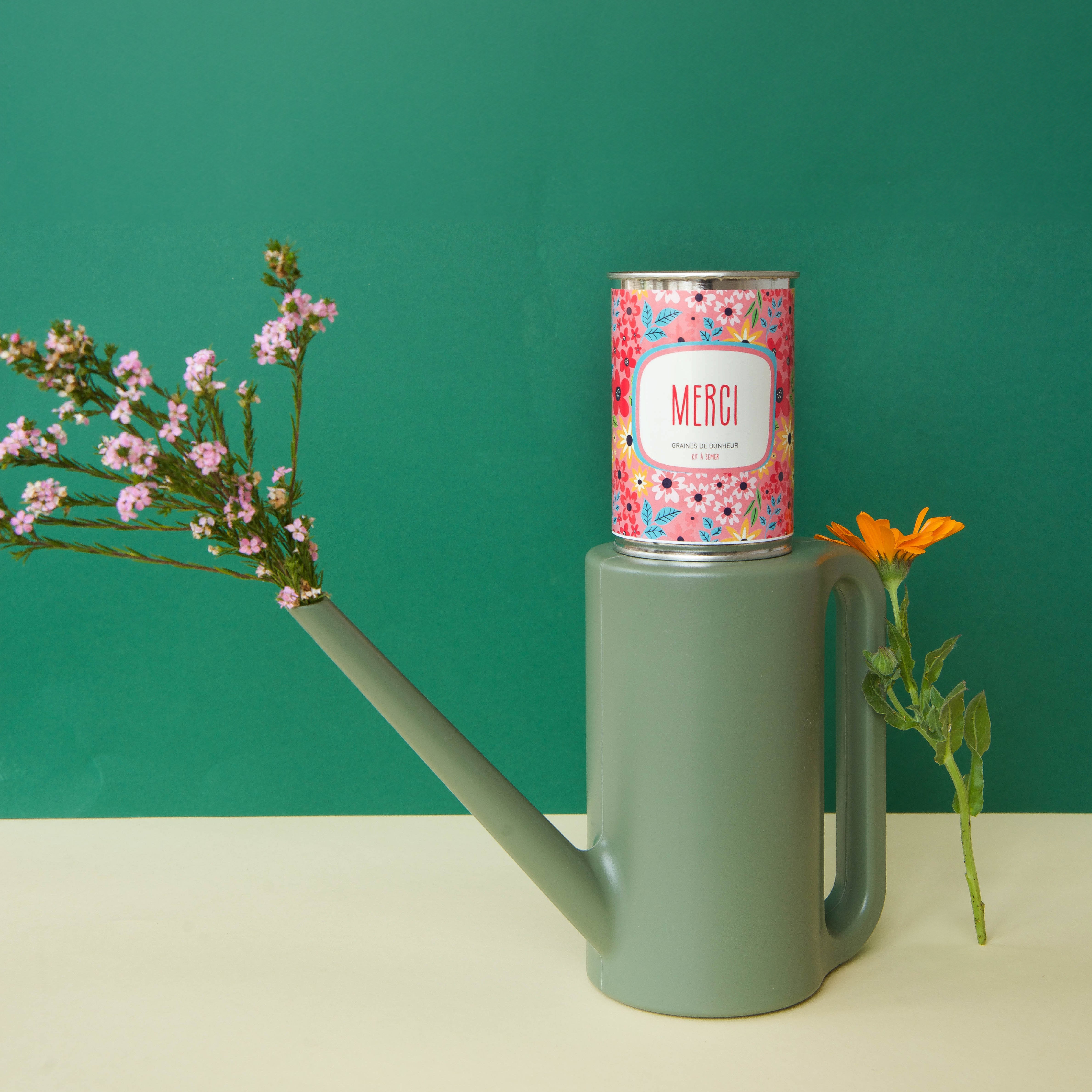 Kits à semer message Mauvaises Graines pour dire bisous, bon anniversaire, félicitations, merci ou je t’aime