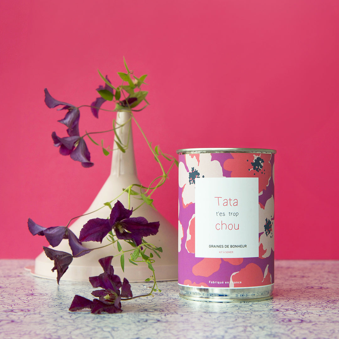 Kit à semer famille Mauvaises Graines, cadeau original et fabriqué en France pour maman, papa, frangin ou frangine.