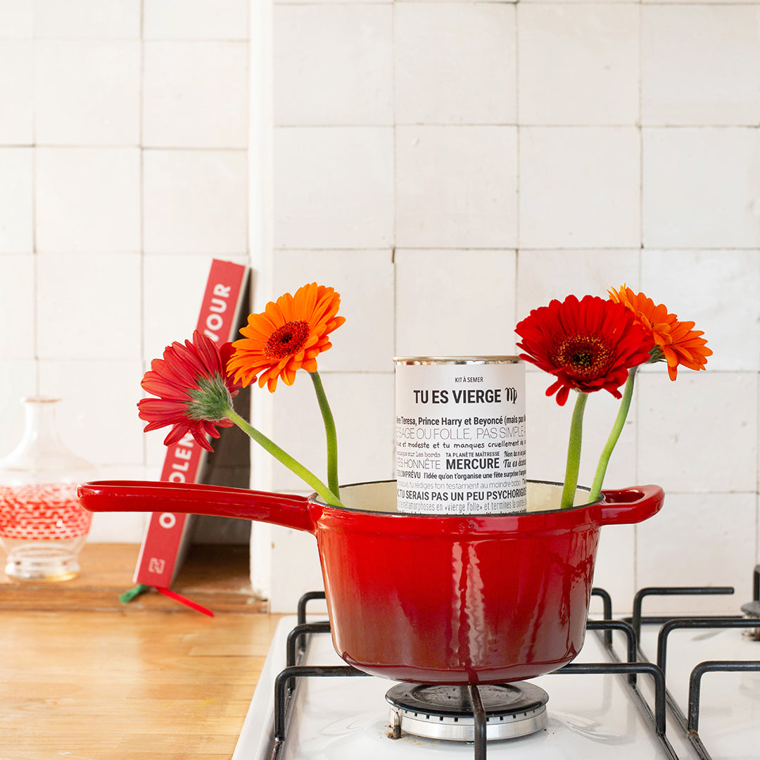 Kit à semer Vierge Mauvaises Graines, idée cadeau astrologique en collaboration avec Tout est Dit