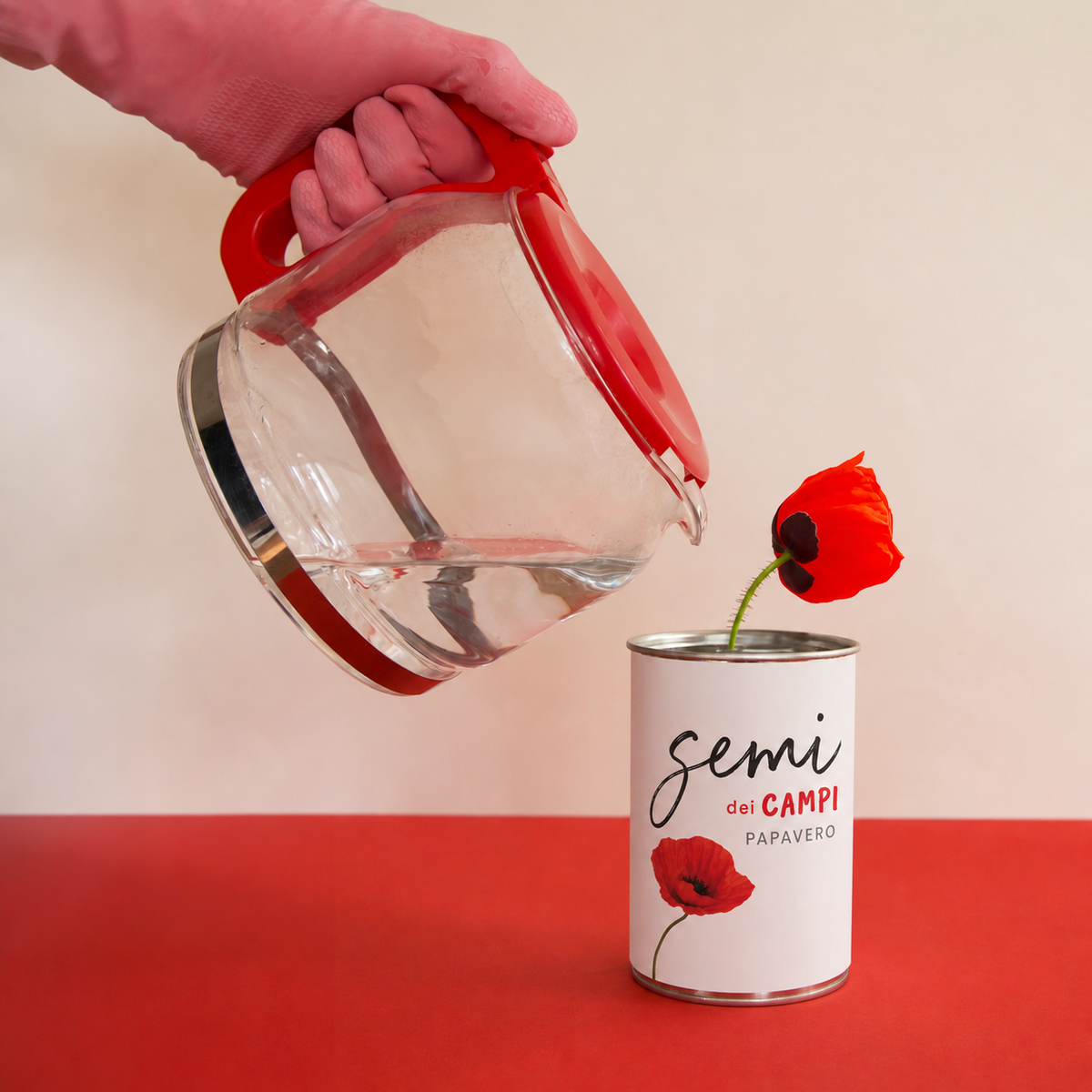 Kit da seminare « Semi dei campi » – Gamme Blanche – MauvaisesGraines