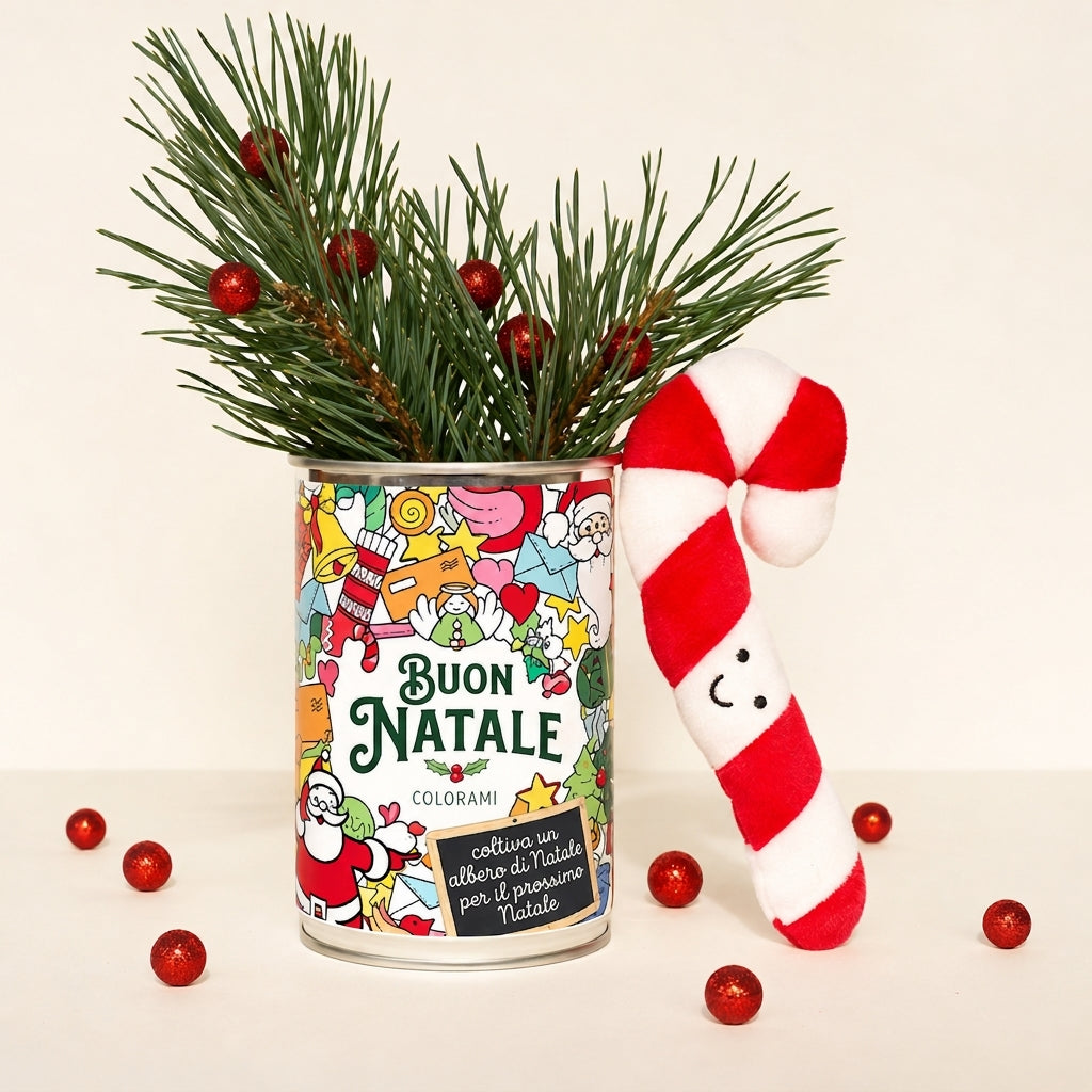 Kit da seminare « Buon Natale da colorare » – MauvaisesGraines