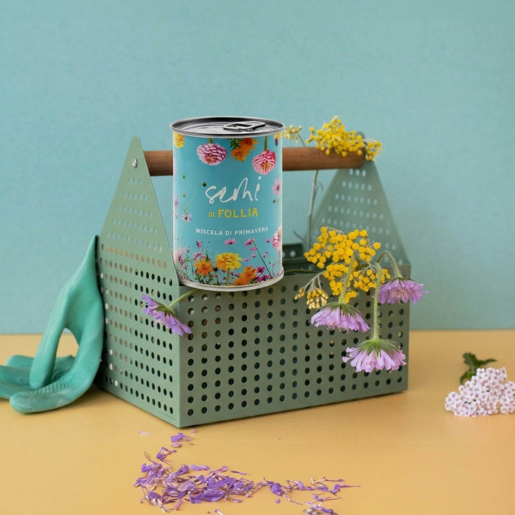 Kit da seminare « Semi di follia » – Pop – MauvaisesGraines