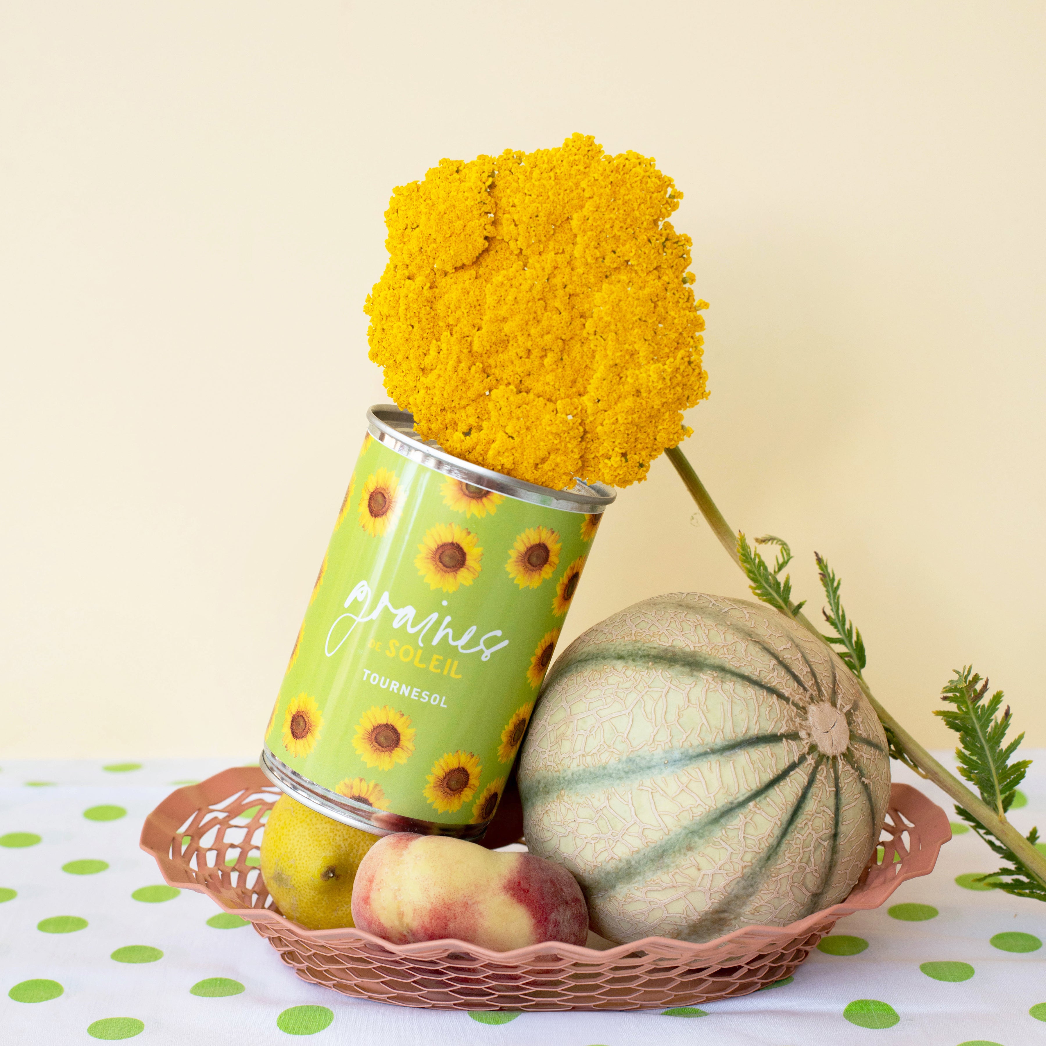 Kit Ă semer "Graines de Soleil"