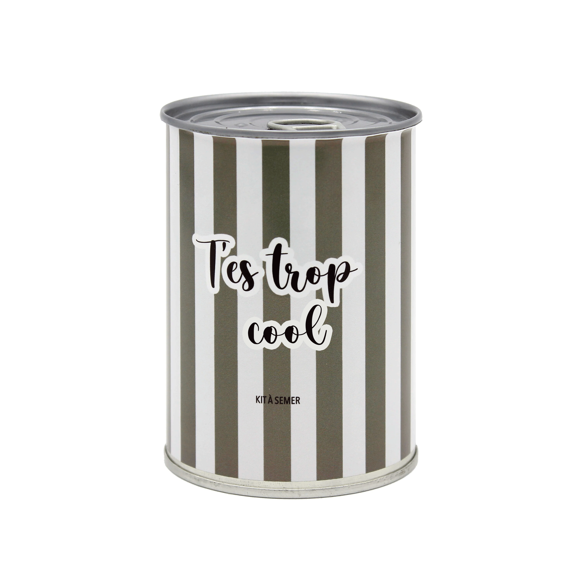 Kit à semer personnalisable "T'es trop"