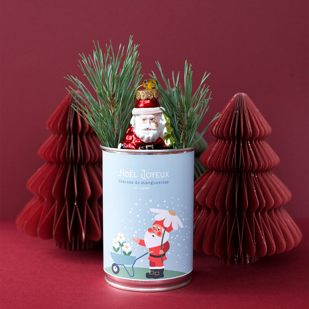 Kit à semer "Noël Joyeux (brouette)" fabriqué en France