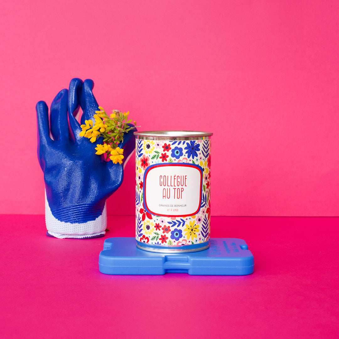 Secret Santa - Cadeau à moins de 15 €