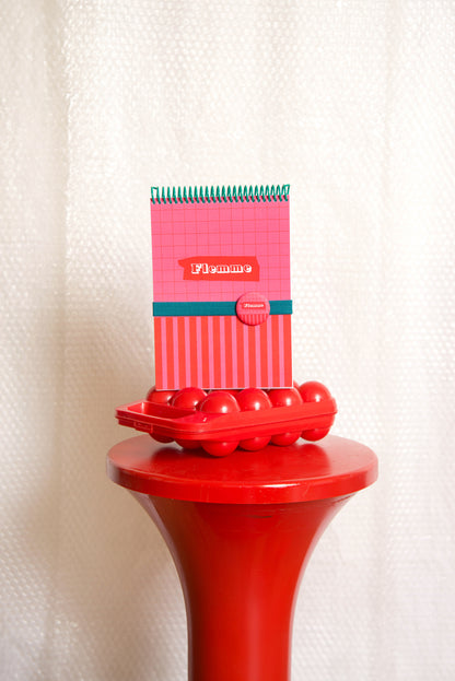 Carnet "FLEMME" -A5-Badge inclus MauvaisesGraines