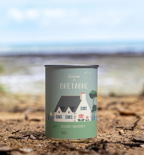 Kit à semer « Bretagne »