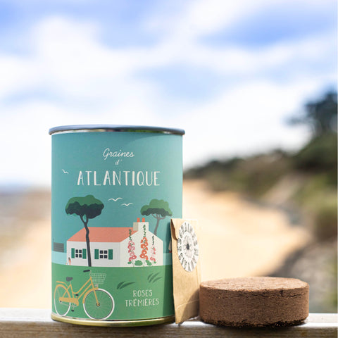 Kit à semer « Atlantique »