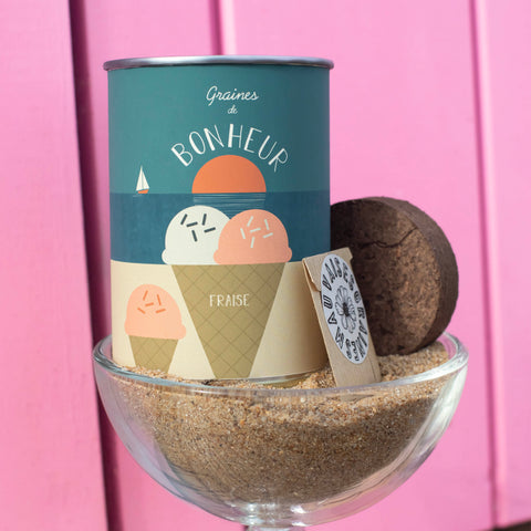 Kit à semer « Bonheur »
