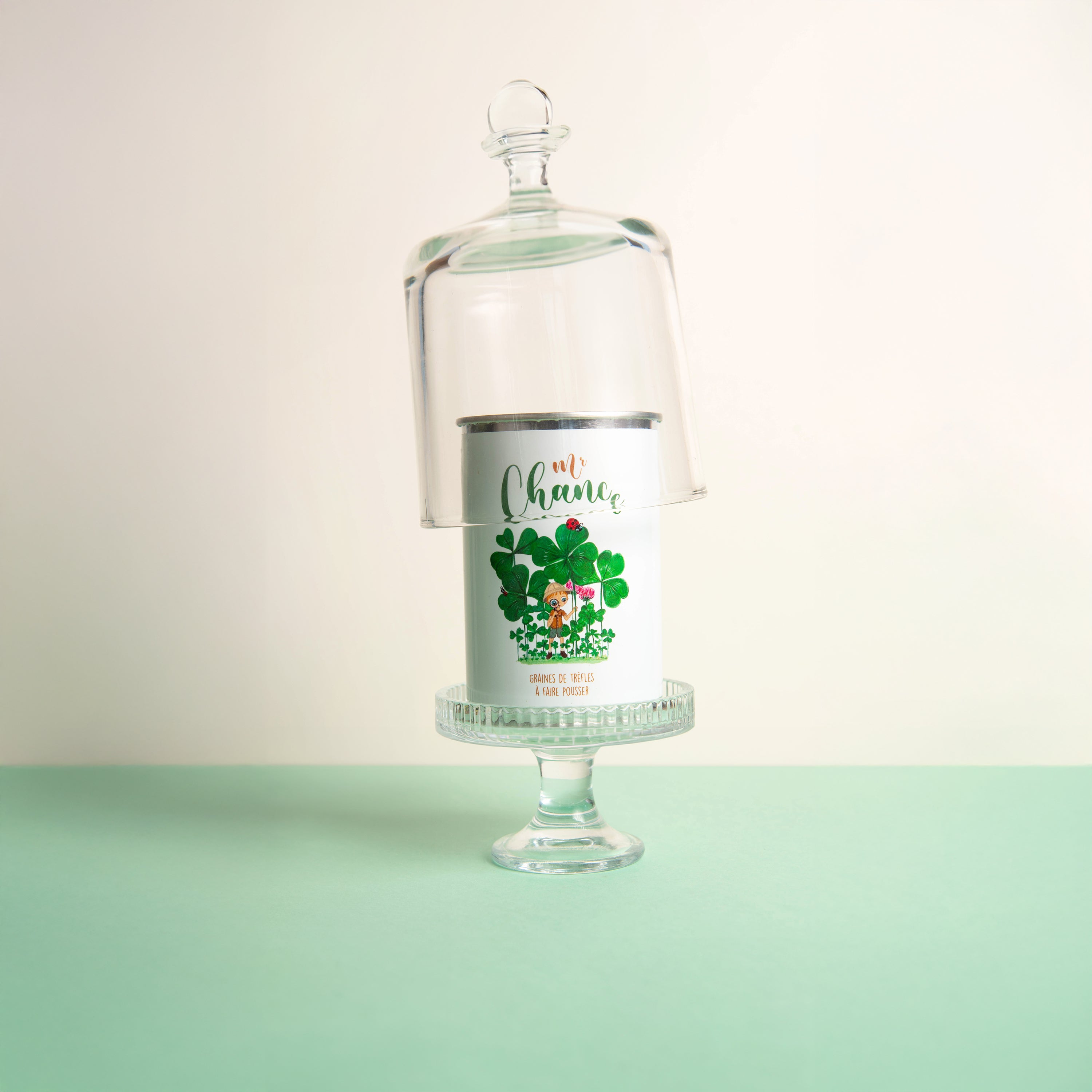 Kit à semer "Monsieur Chance"