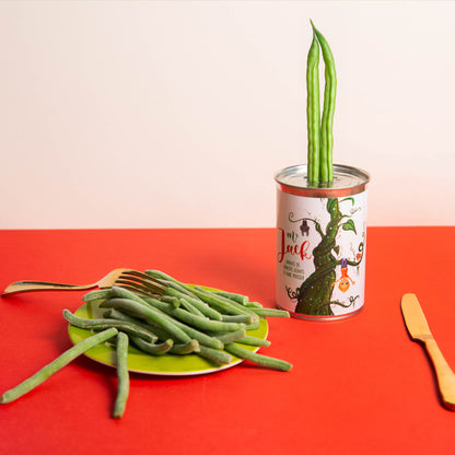 Kit à semer "Monsieur Jack"