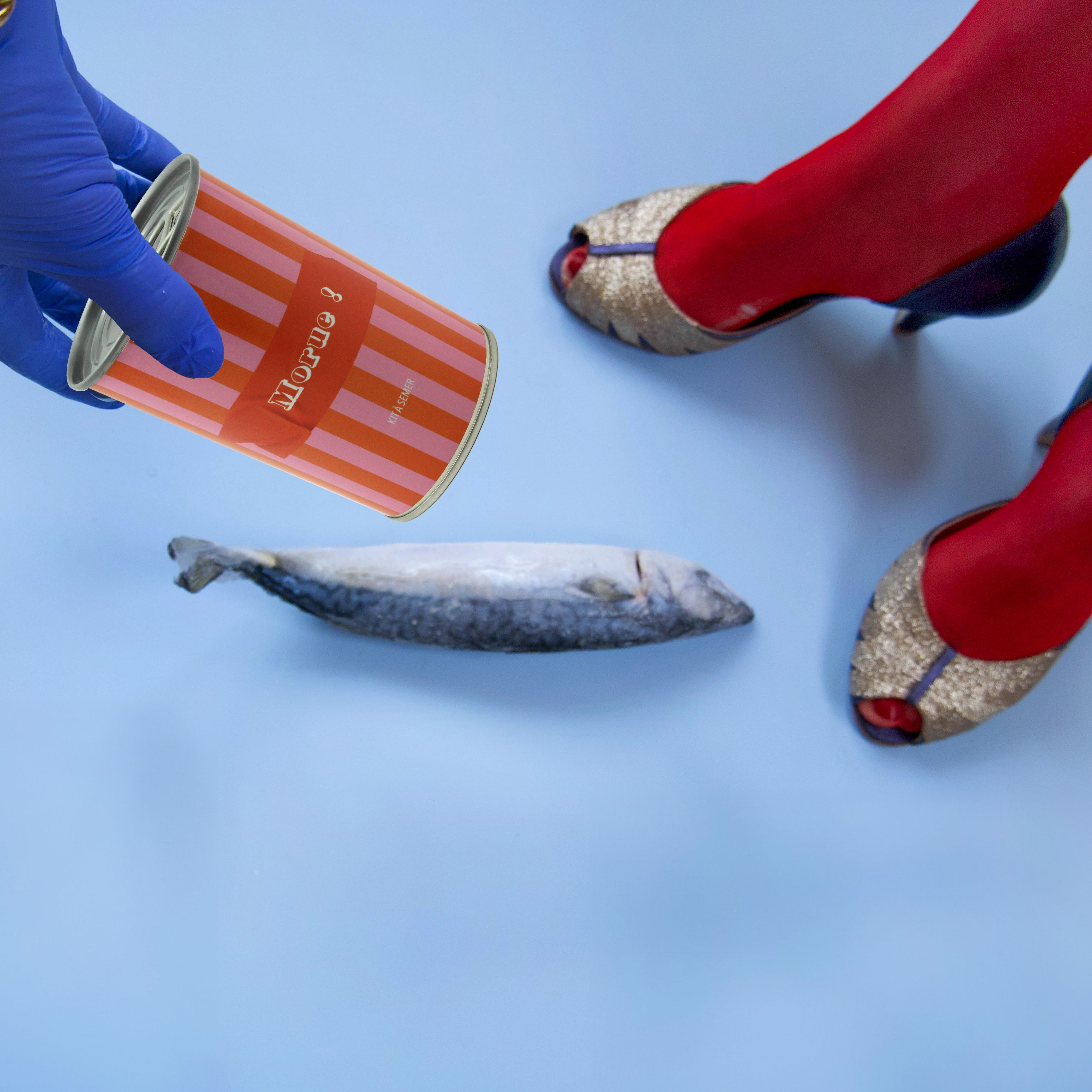 Kit à semer "Morue" Fabriqué en France