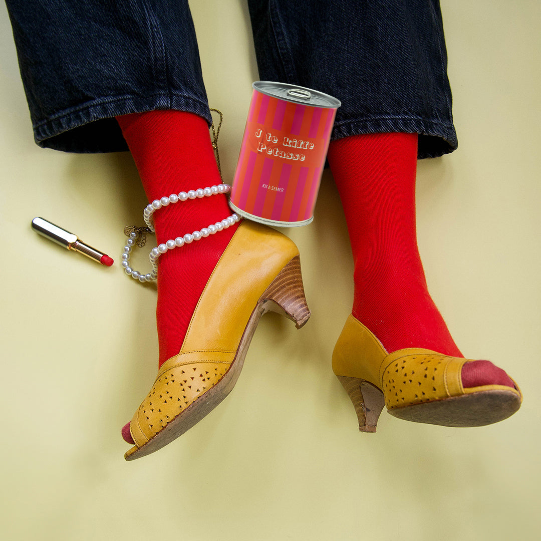 Kit à semer "J'te kiffe Pétasse" fabriqué en France