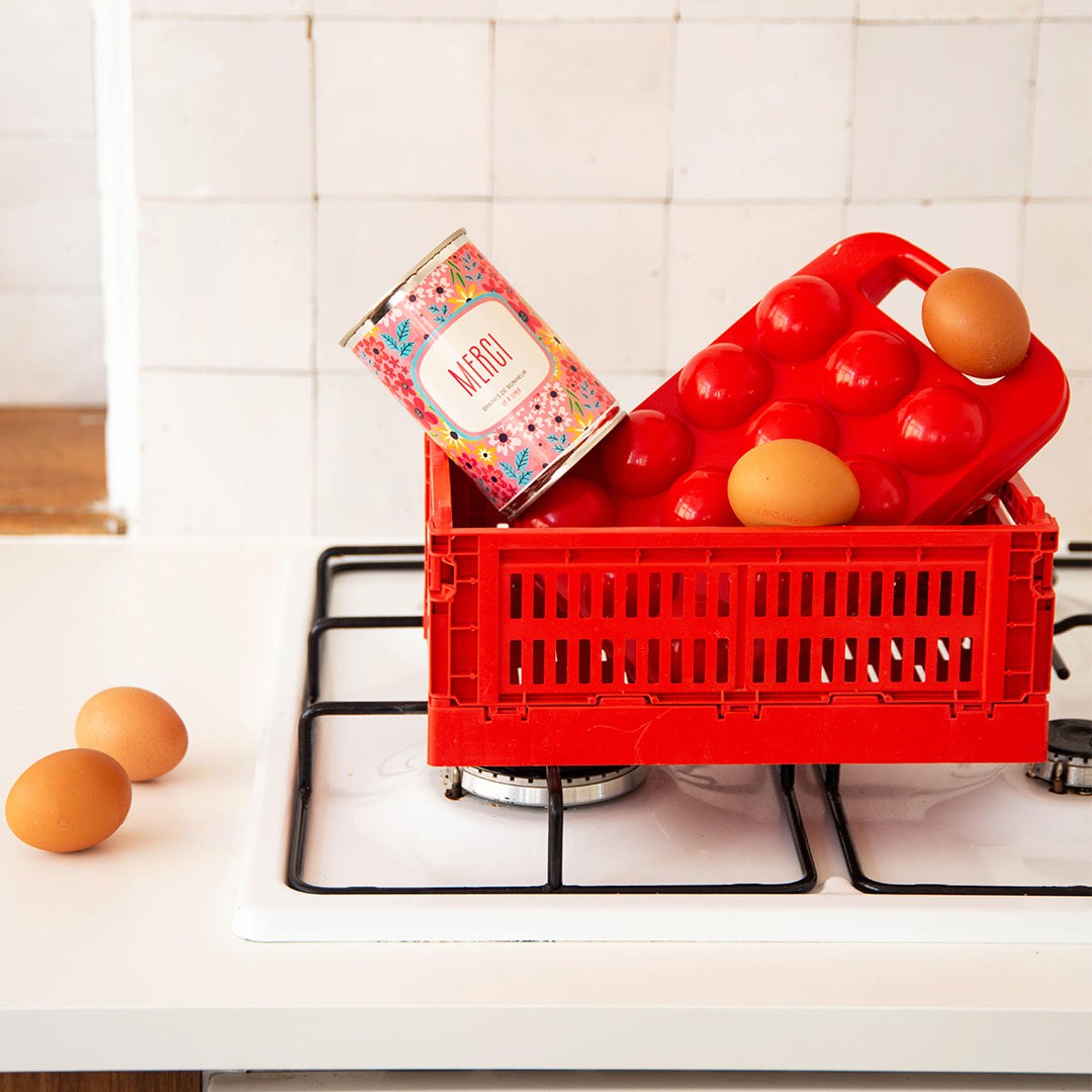 Kit à semer « Merci » – Cadeau original pour dire merci | Fabriqué en France