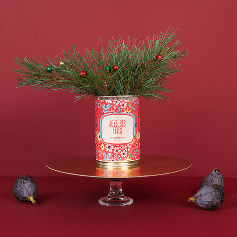 Kit à semer « Joyeuses fêtes »