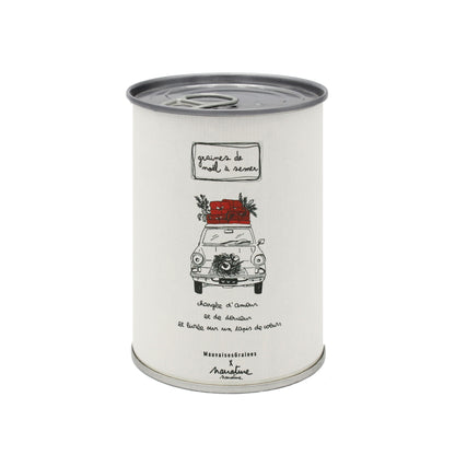 Copie de Kit à semer  "Noël Joyeux" MauvaisesGraines