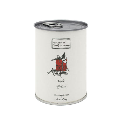 Kit à semer  "Noël Joyeux" MauvaisesGraines