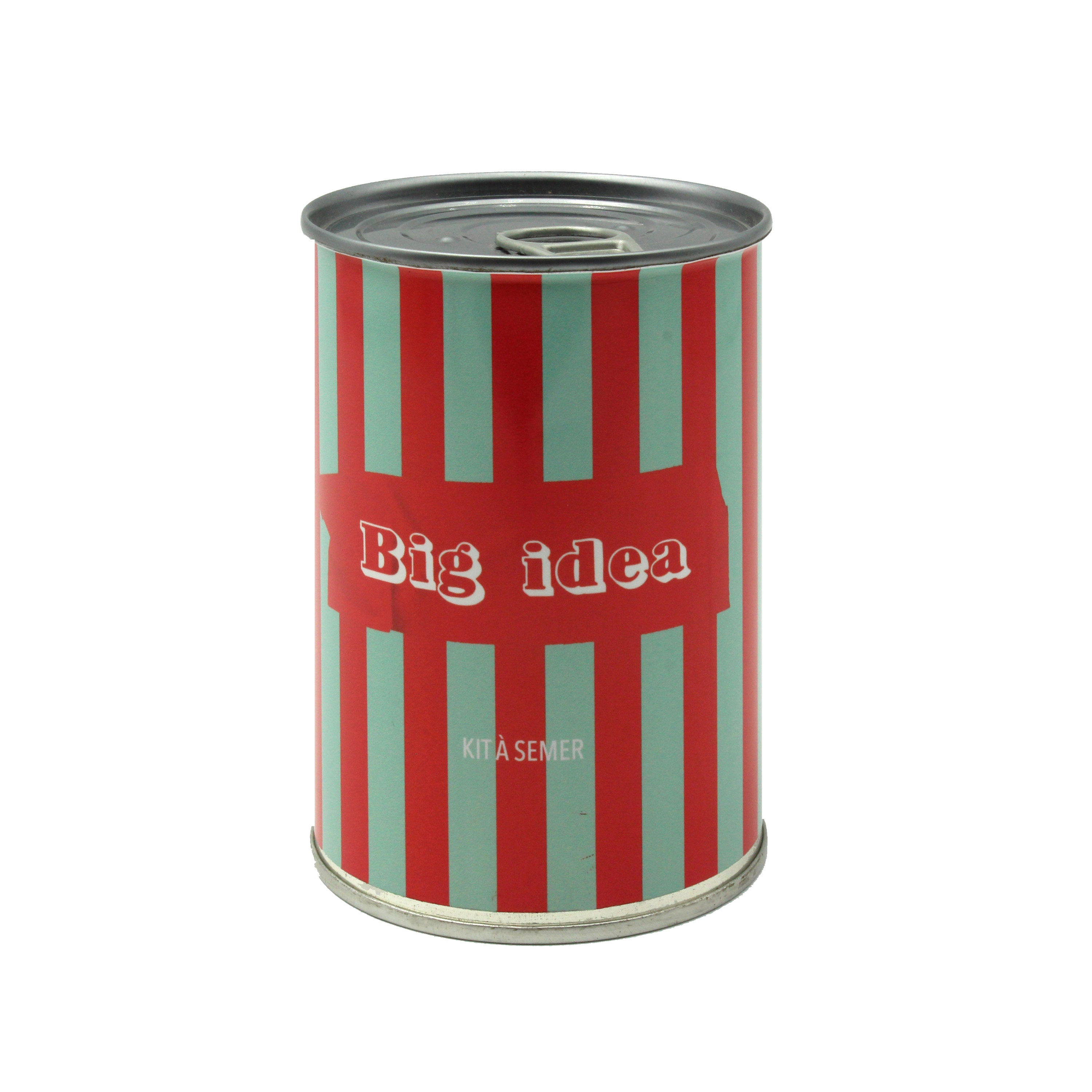 Kit à semer "BigIdea" fabriqué en France