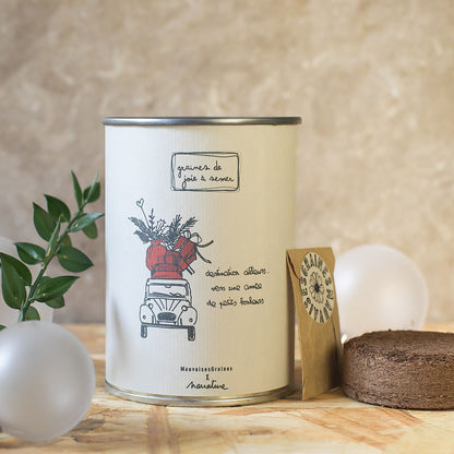 Kit à semer  "Destination ailleurs" Fabriqué en France MauvaisesGraines